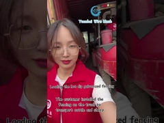 Dekoratif Tel Örgü Üçgen Çit Paneli Yüksek Güvenlik Özelleştirilmiş Renk