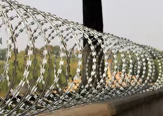 Sınır Çitleri Tırnak Dikenli Tel Sıcak Dip Galvanizli PVC Kaplı