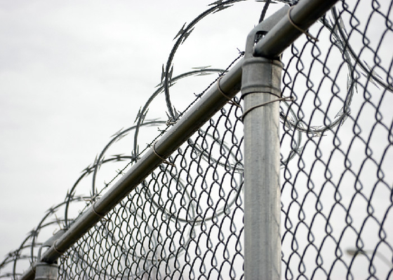 Concertina Razor Wire Coil Etkinlik Önleme için Keskin Blade Tasarımı