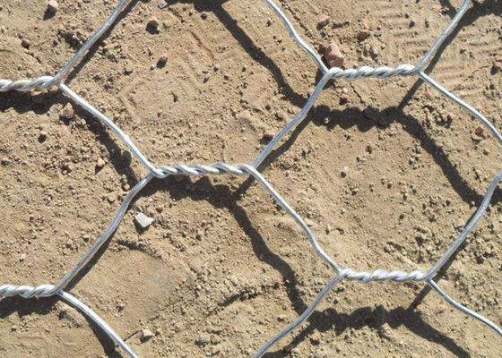 PVC / Sıcak Dip Galvanizli Demir Tel Gabion Tel Ağı Eğitme Koruması için